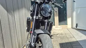 Triumph Trident 660 (2021 - 24)  (2)