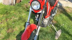 Betamotor Alp 4.0 (2006 - 08)  (3)