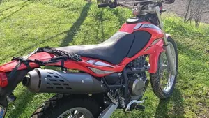 Betamotor Alp 4.0 (2006 - 08)  (4)