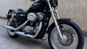 Harley-Davidson 883 Low (2008 - 12) - XL 883L  (2)
