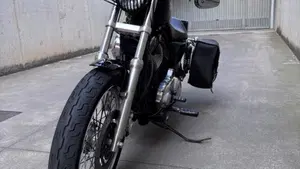 Harley-Davidson 883 Low (2008 - 12) - XL 883L  (3)