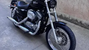 Harley-Davidson 883 Low (2008 - 12) - XL 883L  (6)