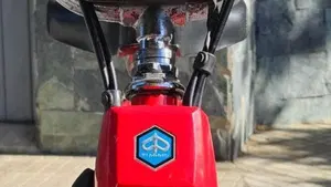 Piaggio   (4)