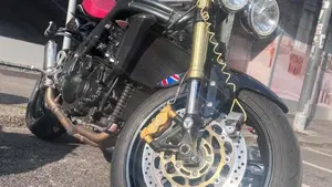 Triumph Speed Triple 1050 (2005 - 11)  (3)