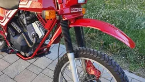 Morini   (4)