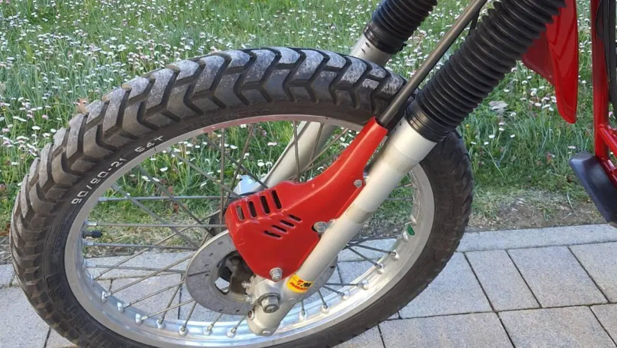 Morini   (11)