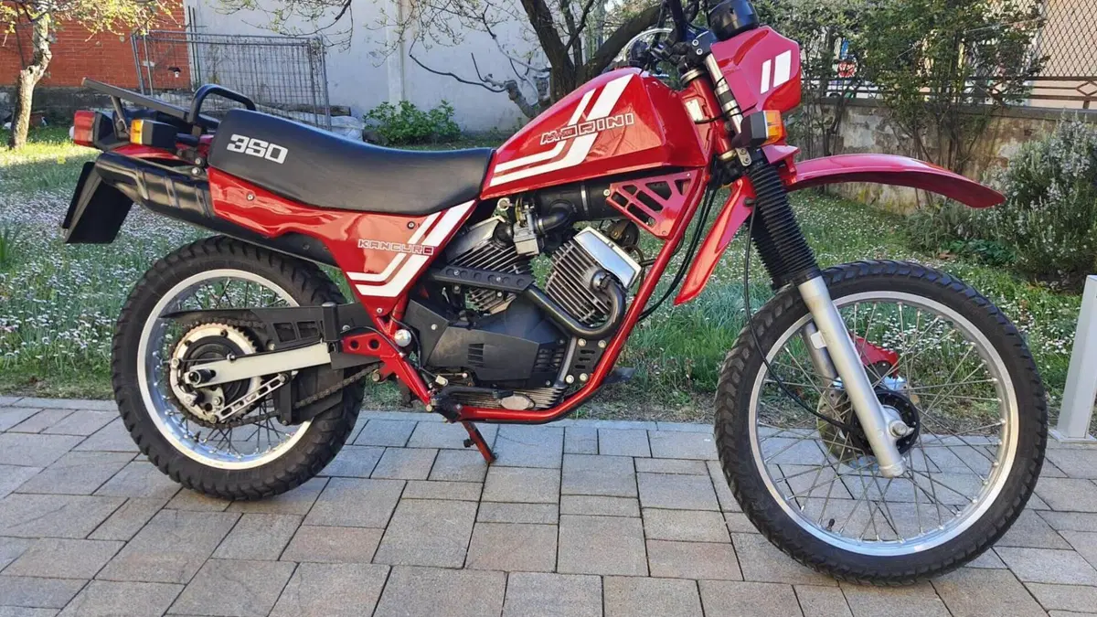 Morini   (2)