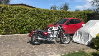 Triumph Thunderbird 900 (2002) usata