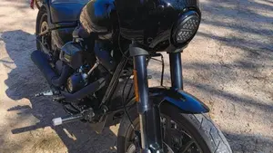 Harley-Davidson 114 Low Rider S (2021) - FXLRS  (2)