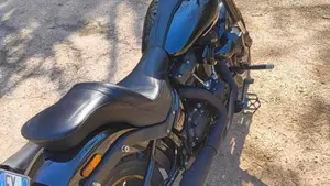 Harley-Davidson 114 Low Rider S (2021) - FXLRS  (4)