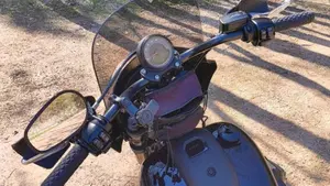 Harley-Davidson 114 Low Rider S (2021) - FXLRS  (5)