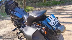 Harley-Davidson 114 Low Rider S (2021) - FXLRS  (7)