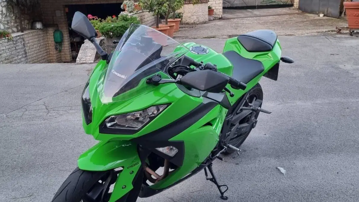 Kawasaki Ninja 300 ABS (2012 - 16) 