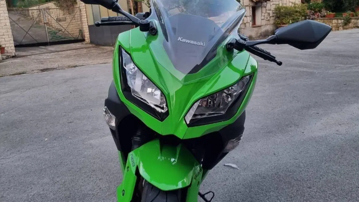 Kawasaki Ninja 300 ABS (2012 - 16)  (2)
