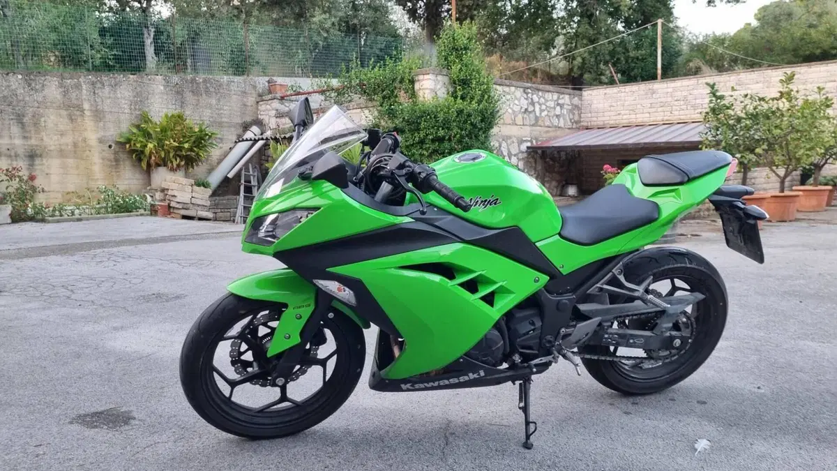 Kawasaki Ninja 300 ABS (2012 - 16)  (3)