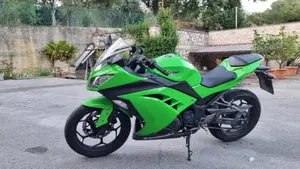 Kawasaki Ninja 300 ABS (2012 - 16)  (3)