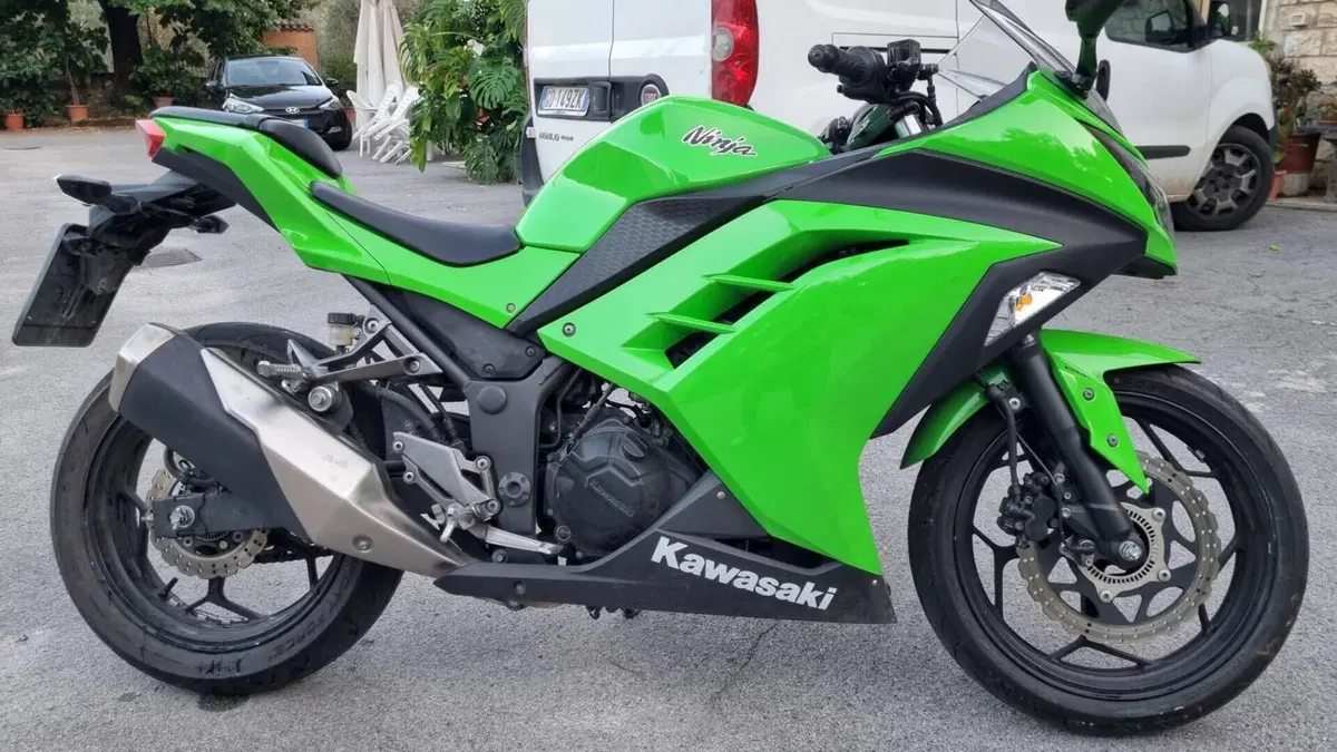 Kawasaki Ninja 300 ABS (2012 - 16)  (4)