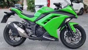 Kawasaki Ninja 300 ABS (2012 - 16)  (4)