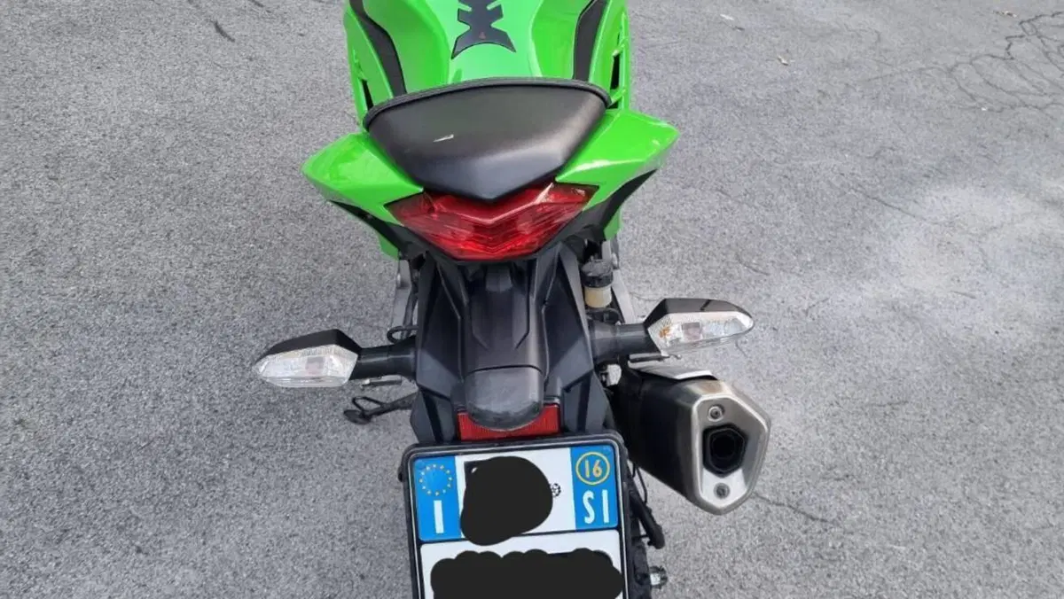 Kawasaki Ninja 300 ABS (2012 - 16)  (5)
