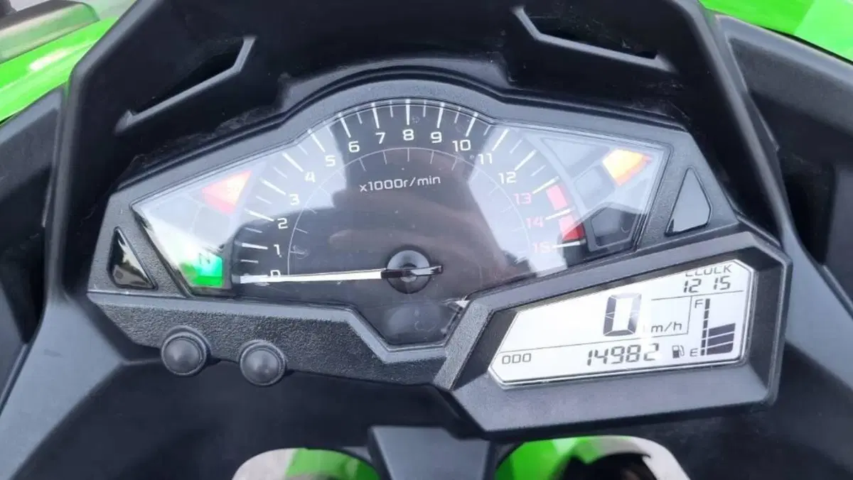 Kawasaki Ninja 300 ABS (2012 - 16)  (6)
