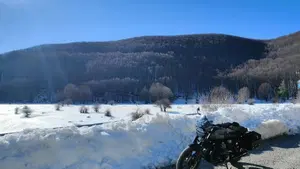 Moto Guzzi V7 Stone (2021 - 24)  (5)