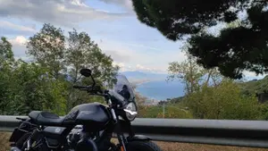 Moto Guzzi V7 Stone (2021 - 24)  (6)