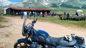 Moto Guzzi V7 Stone (2021 - 24)  (8)