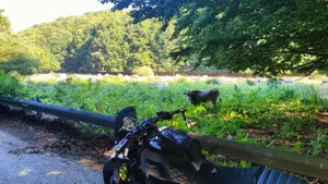 Moto Guzzi V7 Stone (2021 - 24)  (9)