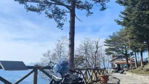 Moto Guzzi V7 Stone (2021 - 24)  (13)