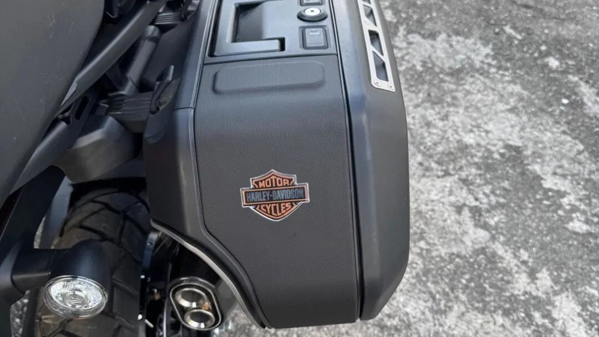 Harley-Davidson Pan America 1250 Special (2020 - 25)  (6)