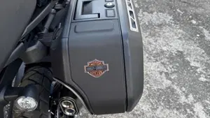 Harley-Davidson Pan America 1250 Special (2020 - 25)  (6)