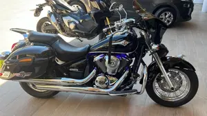 Kawasaki Vulcan VN 900 Custom (2006 - 09)  (16)