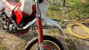 Yamaha   (6)