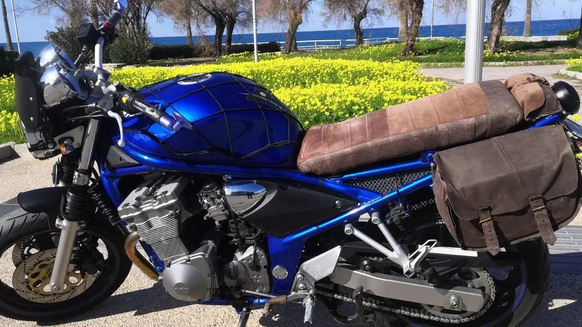 Suzuki GSF 600 Bandit (2000 - 05)  (3)