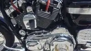 Harley-Davidson 1200 Custom (2007 - 13) - XL 1200C 