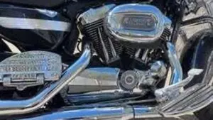 Harley-Davidson 1200 Custom (2007 - 13) - XL 1200C  (2)