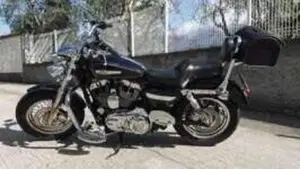 Harley-Davidson 1200 Custom (2007 - 13) - XL 1200C  (9)