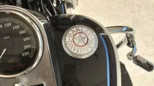 Harley-Davidson 1450 Heritage Classic (1999 - 02) - FLSTC  (8)