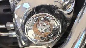 Harley-Davidson 1450 Heritage Classic (1999 - 02) - FLSTC  (10)