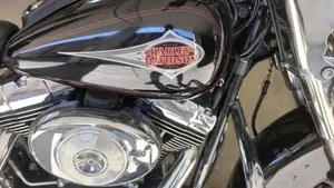 Harley-Davidson 1450 Heritage Classic (1999 - 02) - FLSTC  (17)