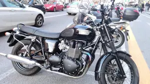 Triumph Bonneville T100 (2008 - 16)  (8)