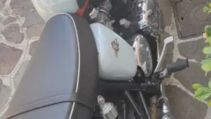 Triumph Bonneville T100 50th Anniversary (2009)  (2)