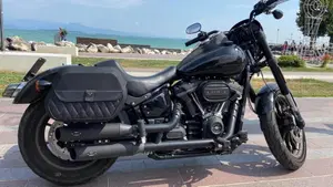 Harley-Davidson Low Rider S (2022 - 24)  (3)
