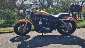 Harley-Davidson 1200 Custom ABS (2014 - 16) - XL 1200C  (2)
