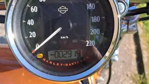 Harley-Davidson 1200 Custom ABS (2014 - 16) - XL 1200C  (6)