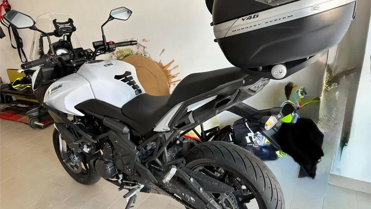 Kawasaki Versys 650 ABS (2015 - 16)  (3)