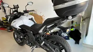 Kawasaki Versys 650 ABS (2015 - 16)  (3)