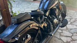Harley-Davidson 1584 Cross Bones (2008 - 11) - FLSTSB  (3)