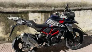 Bmw G 310 GS (2021 - 25)  (3)