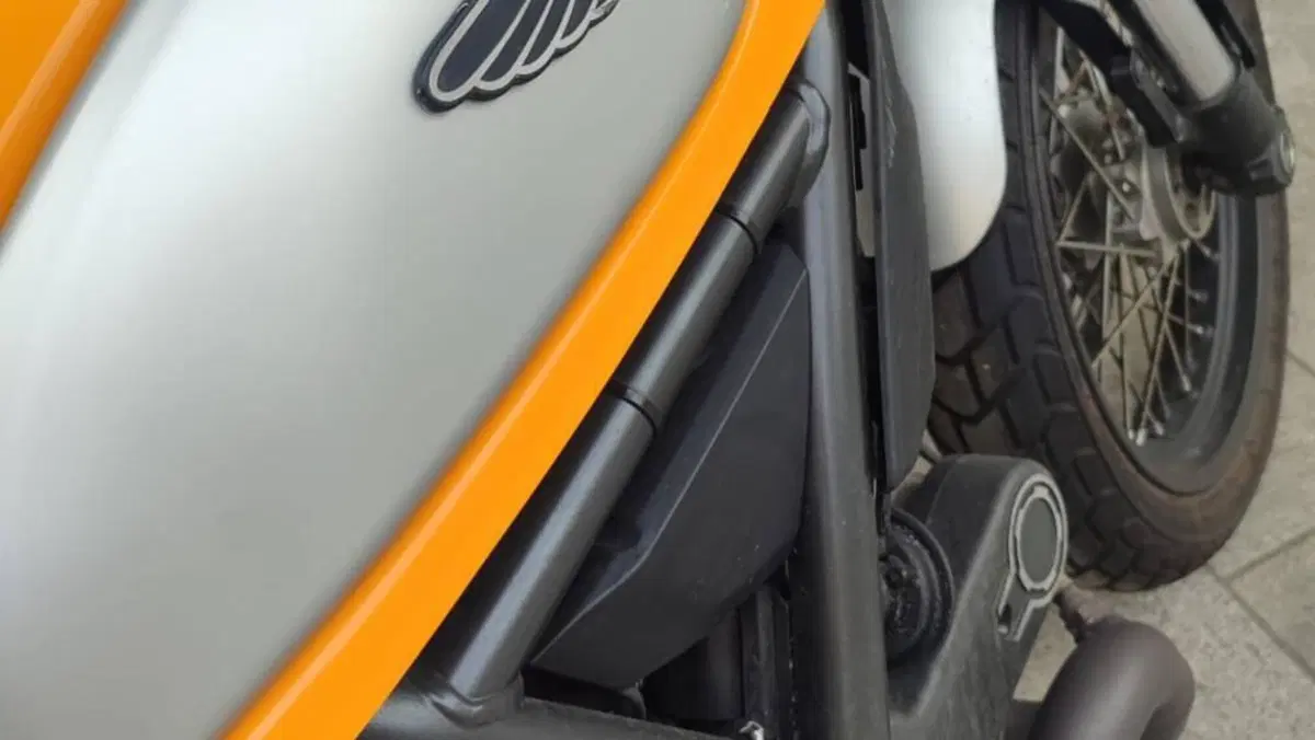 Ducati Scrambler 800 Classic (2015 - 16)  (7)